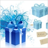 blue gift box theme vector
