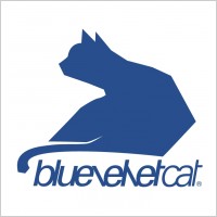 bluevelvet cat