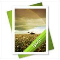BMP File