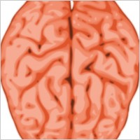 Brain clip art