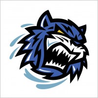bridgeport sound tigers
