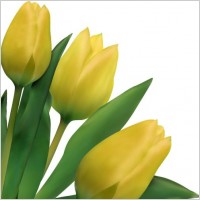 bright tulips 03 vector