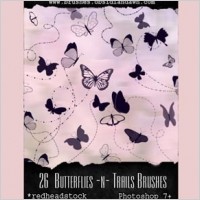 butterflies and trails