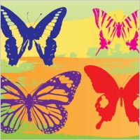 Butterflies Vector Graphics