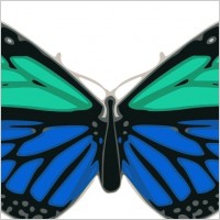 Butterfly 02 Turquoise Blue