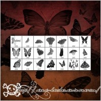 butterfly brushes