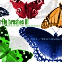 Butterfly Brushes III