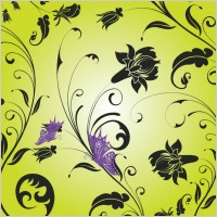 Butterfly Garden