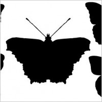 Butterfly silhouettes