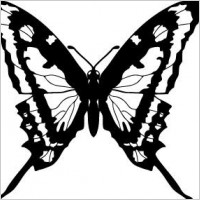 Butterfly vector