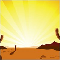 Cactus in desert sunrise