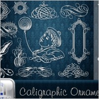 Calligraphic Ornaments in vector