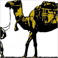 Camel clip art