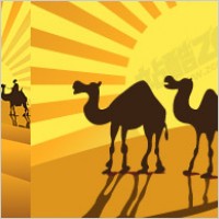 camel on desert