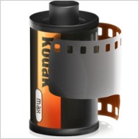 Camera Roll
