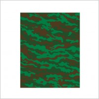 Camo Pattern