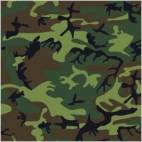 camouflage pattern clip art