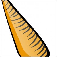 Carrot clip art