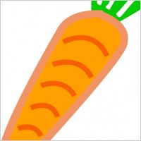 carrot orange with green leafs