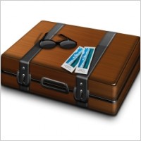 Case