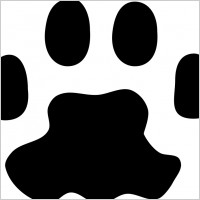Cat paw print