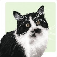 Cats Vector Image