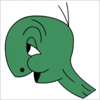 Cecil Turtle no shell