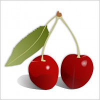 vector cherries