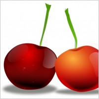 Vector Cherries