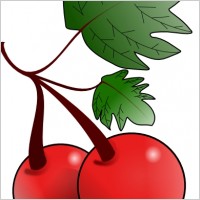 Cherries Fruit clip art