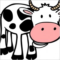 Chewing cow