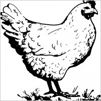 chicken art clip