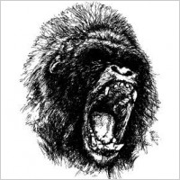 Chimpanzee vector