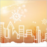 City in the winter with snow flowers