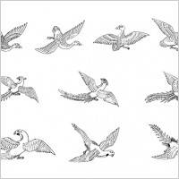 classic bird vector