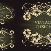 classic european pattern vector