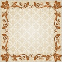 classic lace pattern 02 vector