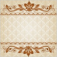 classic lace pattern 03 vector