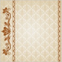 classic lace pattern 04 vector