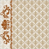 classic lace pattern 05 vector