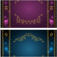 classical gold lace border vector