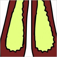 Clothing Women Shoes clip art