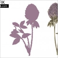 Clover Vector
