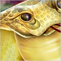 Cobra Featured psd layered material