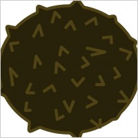 Coconut Fruit clip art