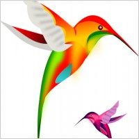Colibri