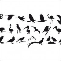Collection Of Birds Silhouettes