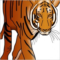 Color Tiger clip art