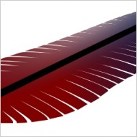 Colored Feather clip art