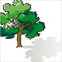 colored oak tree